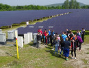 energie 12 20190611 1368493586