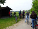 energie 7 20190611 1949927002