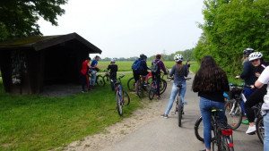 energie 7 20190611 1949927002