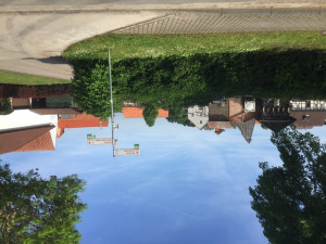 mobilitaet 54 20190611 1057951738