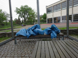 mobilitaet 77 20190611 1297988586