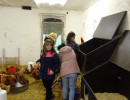 tierhaltung 11 20190611 2046291647